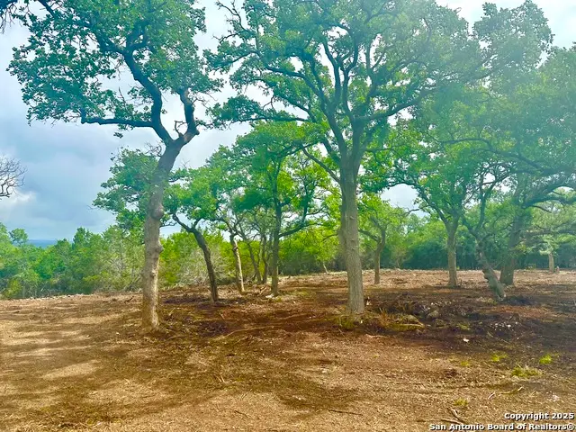 LOT 30 TBD Waterstone Pkwy, Boerne, TX 78006 - #1