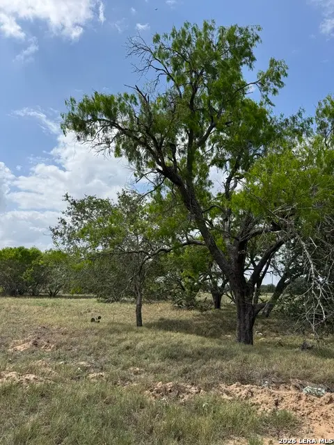 00 County Road 405, Floresville, TX 78114