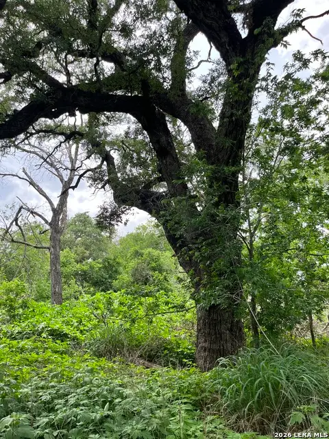 12760 Bernhardt Rd, San Antonio, TX 78263 - #3