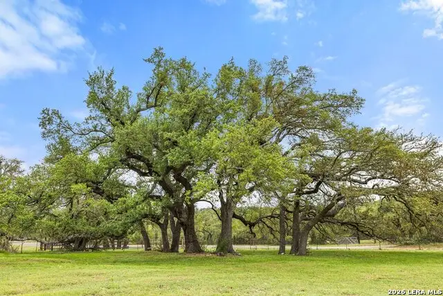 3657 Ranch Road 3232, Johnson City, TX 78636 - #1