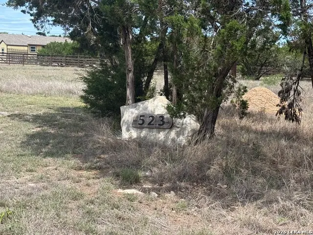 523 Stars And Stripes, Fischer, TX 78623 - #1