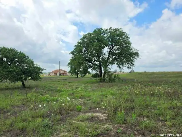 1866 County Road 319, La Vernia, TX 78121 - #3
