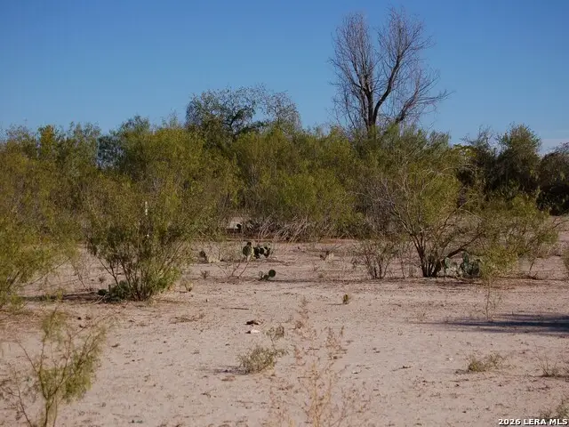 TBD Fm 186, Carrizo Springs, TX 78834 - #2