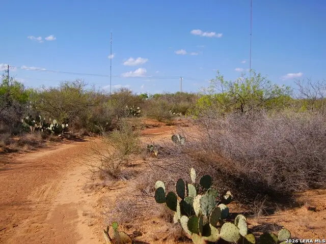 TBD Fm 186, Carrizo Springs, TX 78834 - #3