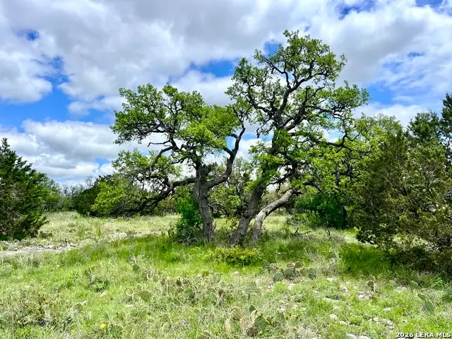 221 Turkey Run, Eldorado, TX 76936 - #2