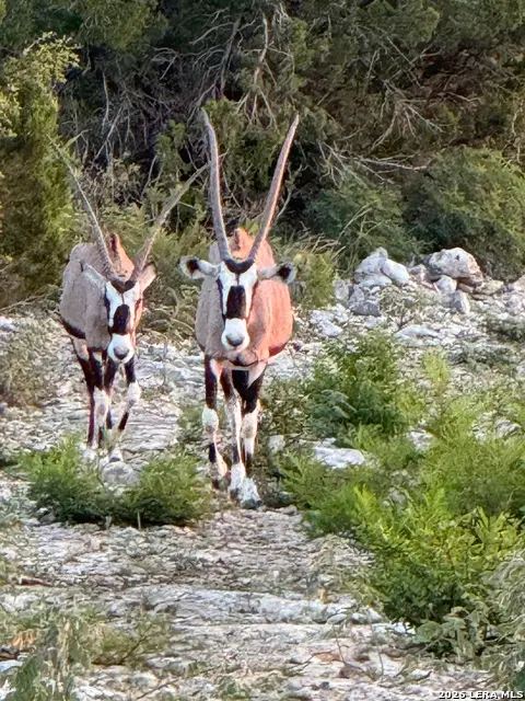 TBD Rm 334, Brackettville, TX 78832 - #3