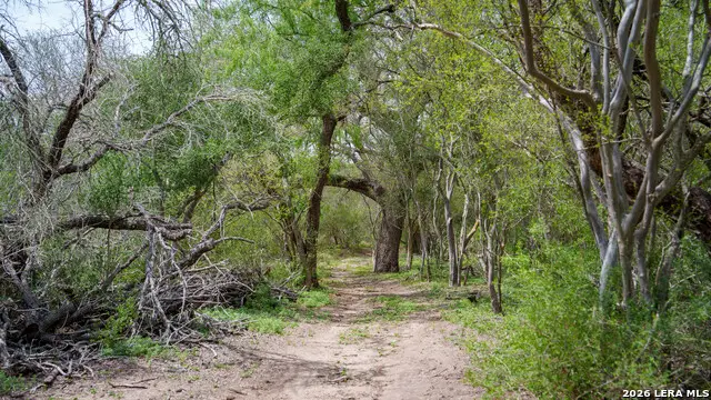 1251 County Road 210, Floresville, TX 78114 - #3