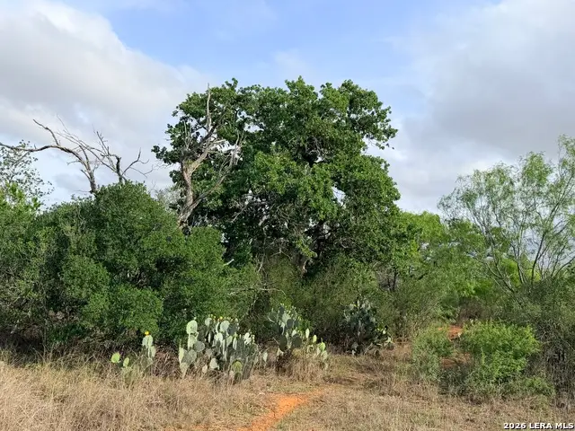 3980 Highway 173, Jourdanton, TX 78026 - #1