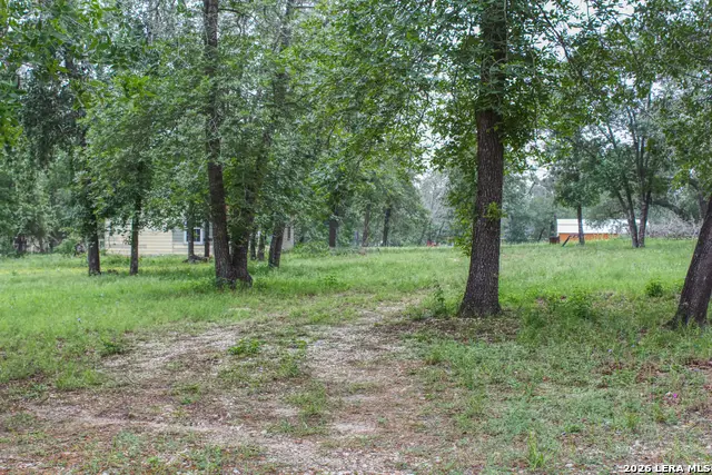 278 County Road 6862, Natalia, TX 78059 - #3