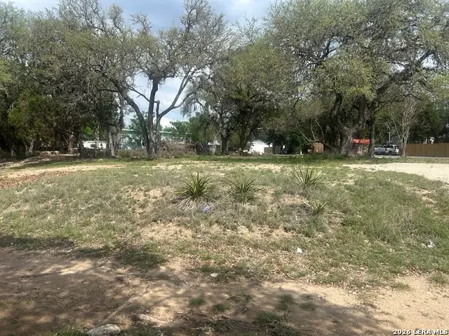 301 Greenwood St, Canyon Lake, TX 78133 - #2