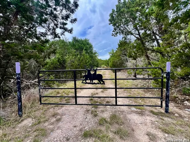 196 Dingley View Dr, Kerrville, TX 78028 - #1