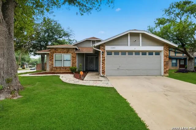 13203 Wood Climb St, San Antonio, TX 78233 - #3