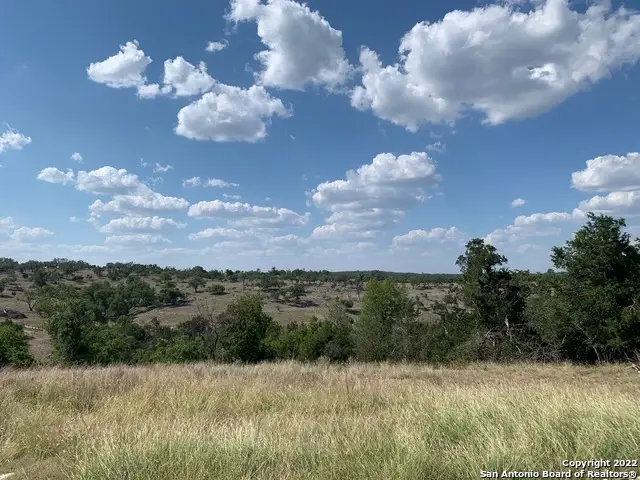 02 Verde Ct., Fredericksburg, TX 78624 - #1