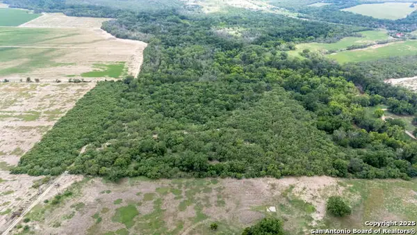 15828 Fm 775, Floresville, TX 78114
