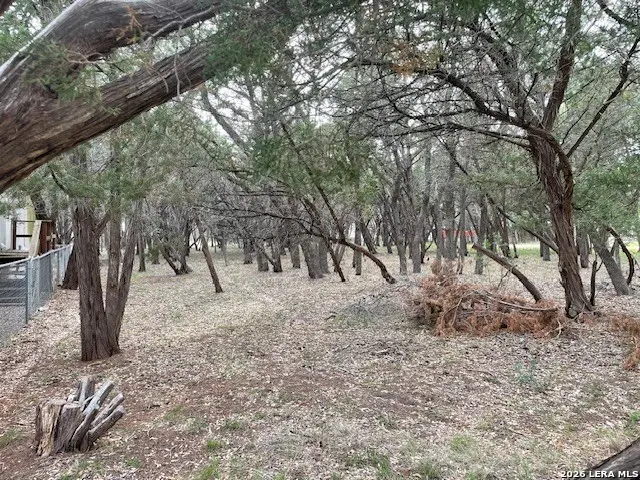 458 Cedar Hill Dr, Bandera, TX 78003 - #1