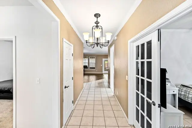 544 Jo Lynn Ln, New Braunfels, TX 78130 - #3
