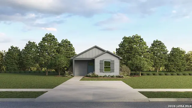 14841 Gold Lace Cactus, San Antonio, TX 78221 - #1