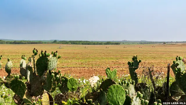 TBD County Road 3000 Keystone, Pearsall, TX 78061 - #3