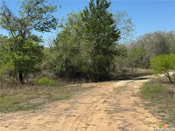 00 Dowdy, Kingsbury, TX 78638