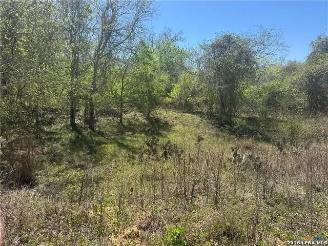 00 Dowdy, Kingsbury, TX 78638 - #3