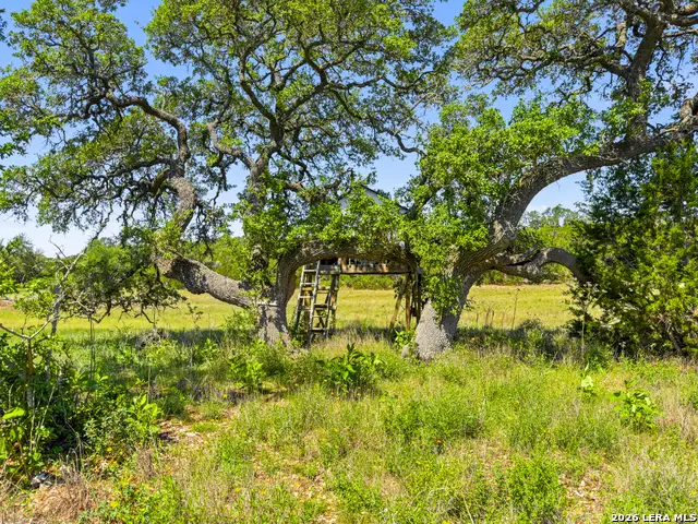 163 N Stallion Estates Drive, Spring Branch, TX 78070 - #1