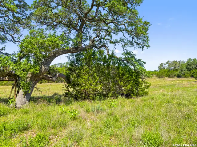 163 N Stallion Estates Drive, Spring Branch, TX 78070 - #2