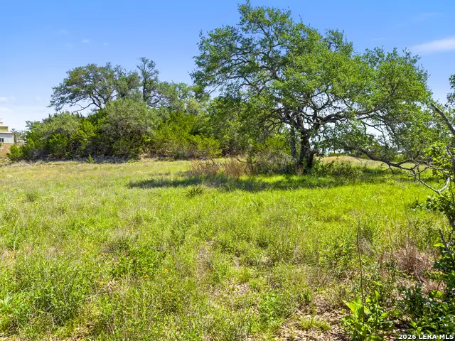 163 N Stallion Estates Drive, Spring Branch, TX 78070 - #3