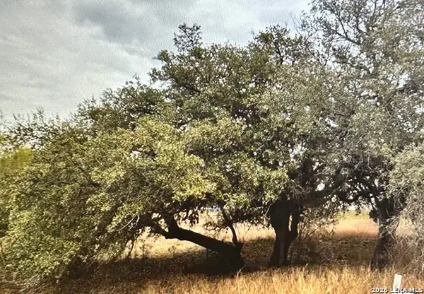 71 River Blf, Castroville, TX 78009
