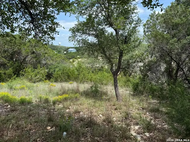 1252 High Hills Dr, Canyon Lake, TX 78133 - #2