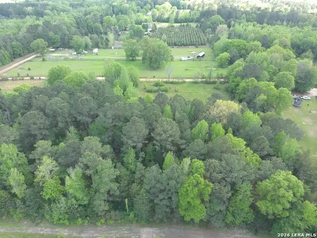 0 County Road 2228, Douglassville, TX 75560 - #2