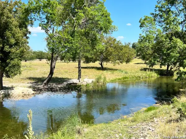 481 Living Water Ranch Rd., Harper, TX 78631