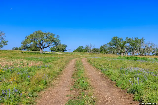 481 Living Water Ranch Rd., Harper, TX 78631 - #3