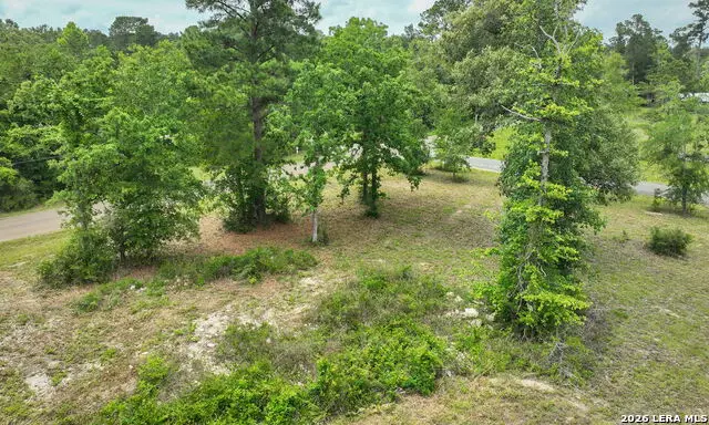 5914 Carter, Waller, TX 77484 - #3
