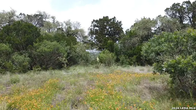 460 County Road 2753, Mico, TX 78056 - #3