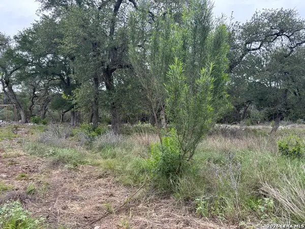 1464 Stahlman Way, New Braunfels, TX 78132