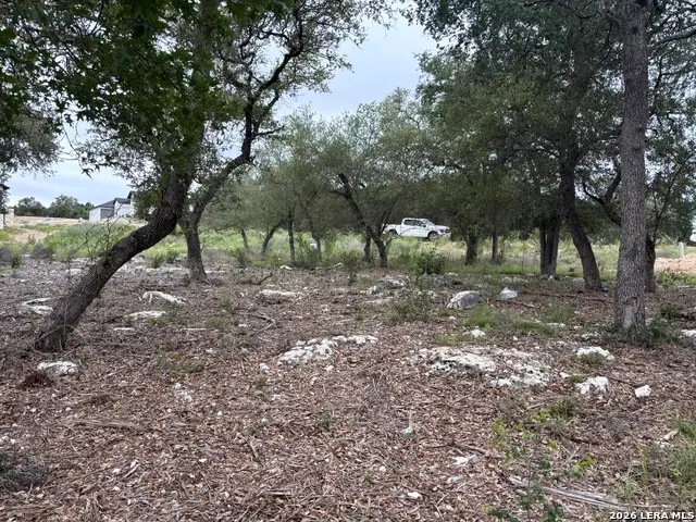 1464 Stahlman Way, New Braunfels, TX 78132 - #3