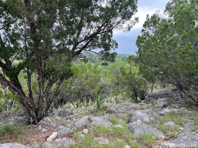 333 Spanish Oak, Bandera, TX 78003 - #3
