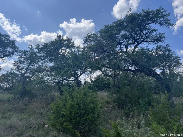 636 Rock Trail Pl, Spring Branch, TX 78070 - #2