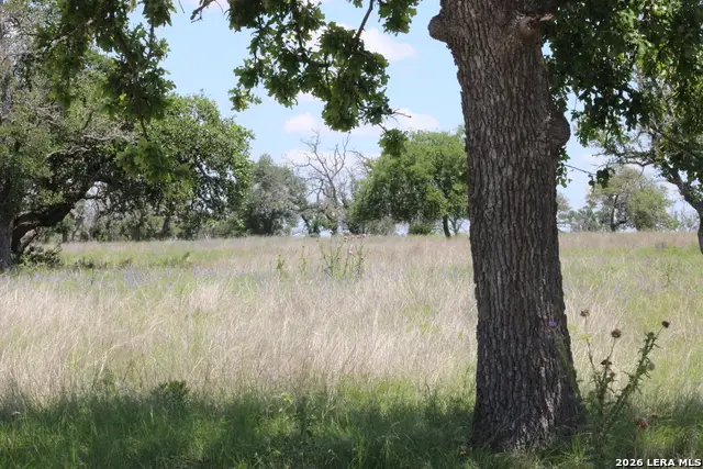 132 Pack Saddle Ln, Fredericksburg, TX 78624 - #1