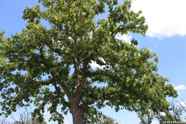 132 Pack Saddle Ln, Fredericksburg, TX 78624 - #2