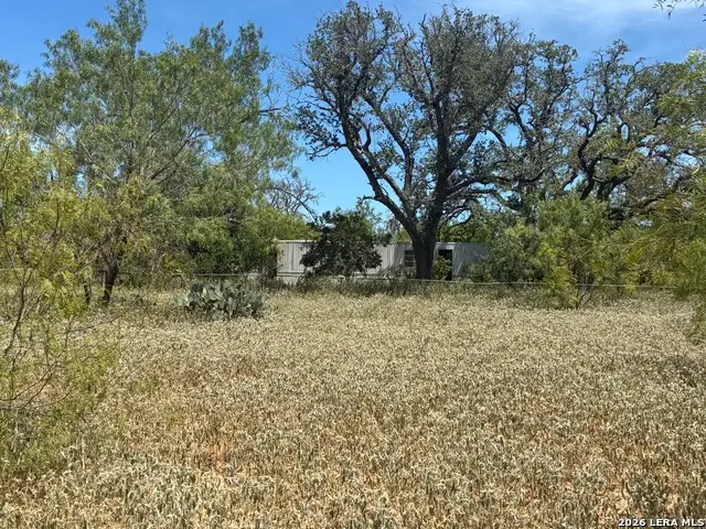 920 County Road 665, Devine, TX 78016 - #2
