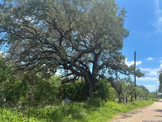 920 County Road 665, Devine, TX 78016 - #3