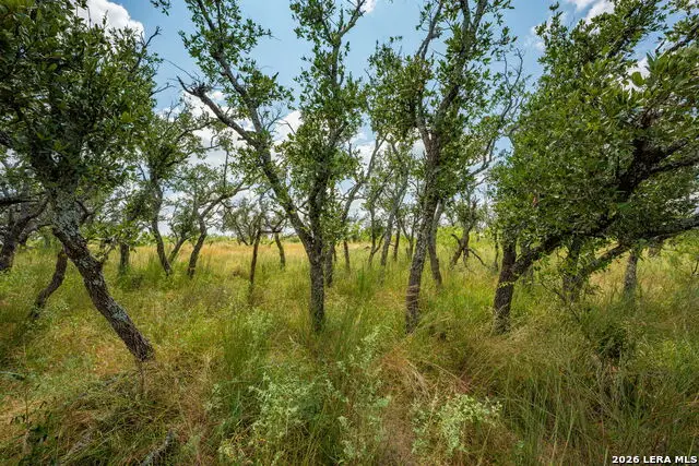 1445 Cave Wells Rd., Fort McKavett, TX 76841 - #1