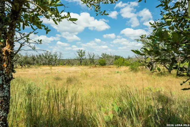 1445 Cave Wells Rd., Fort McKavett, TX 76841 - #3