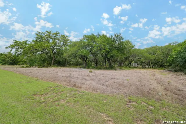 138 County Road 2765, Mico, TX 78056 - #2