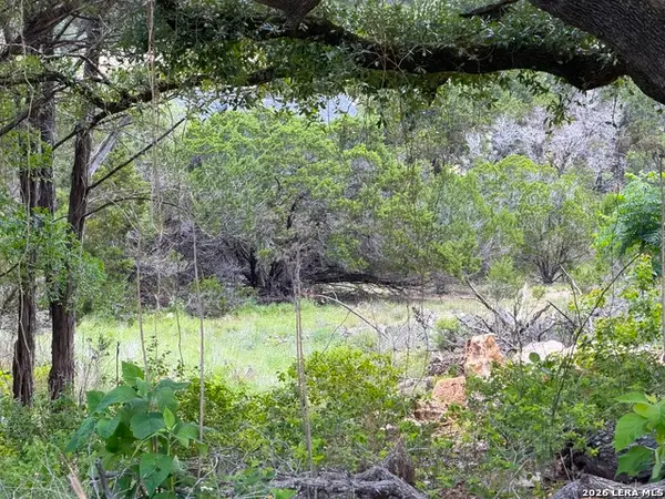 273 Scenic Dr., Canyon Lake, TX 78133