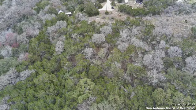 165 Blue Bonnet Hill Cir, Spring Branch, TX 78070 - #2