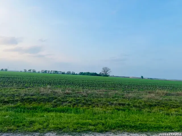 LOT 2 Lower Seguin, Marion, TX 78124 - #1