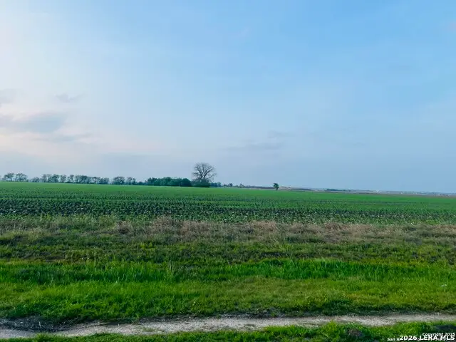 LOT 2 Lower Seguin, Marion, TX 78124 - #2