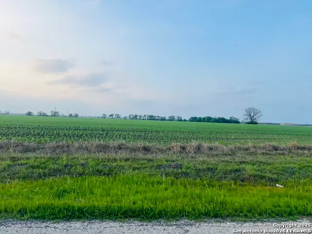 LOT 3 Lower Seguin, Marion, TX 78124 - #3